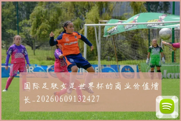 国际足联女足世界杯的商业价值增长_20260609132427
