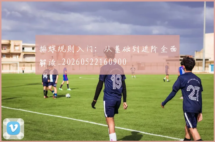 排球规则入门：从基础到进阶全面解读_20260522160900