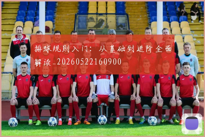 排球规则入门:从基础到进阶全面解读_20260522160900